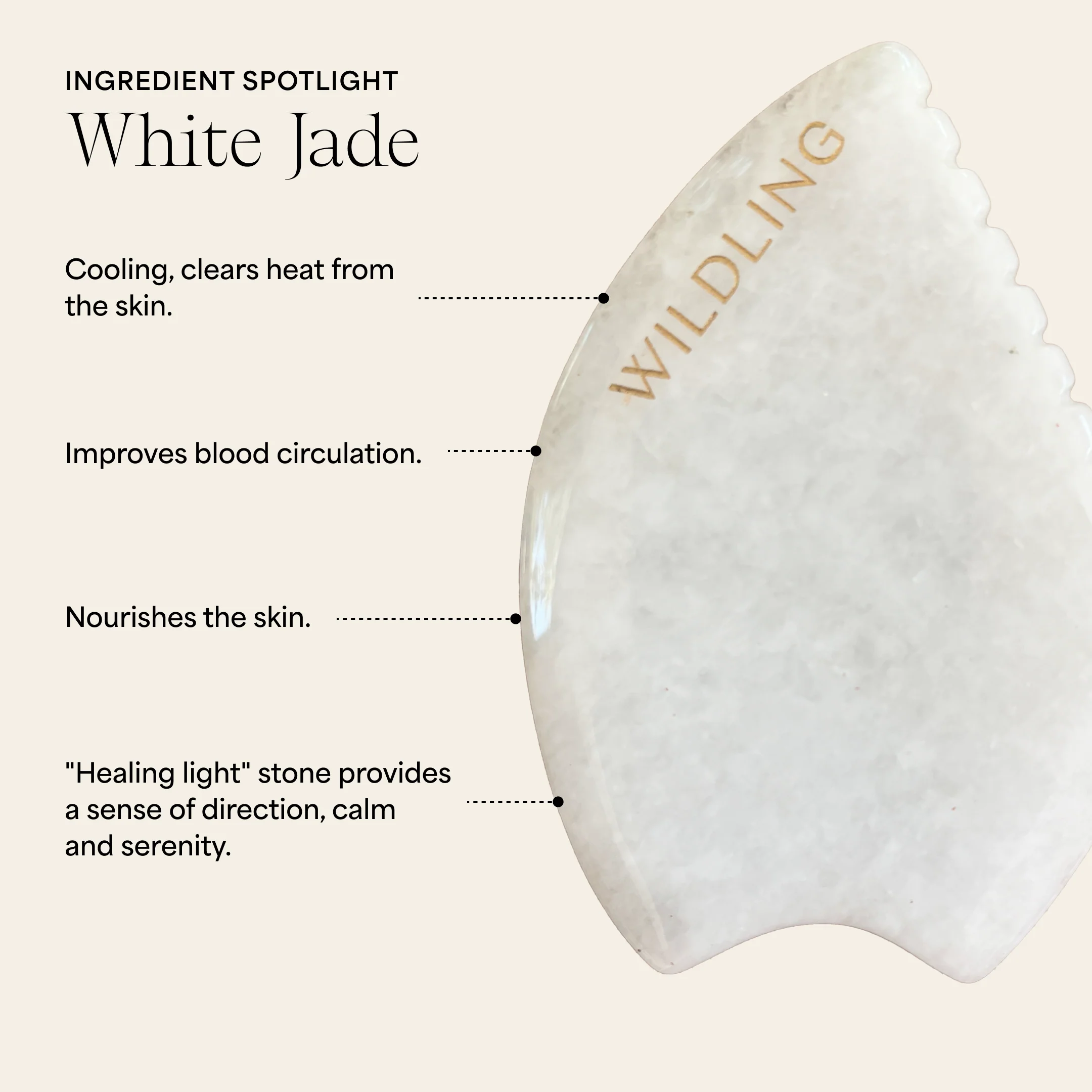 Love Her Wild - Image 12