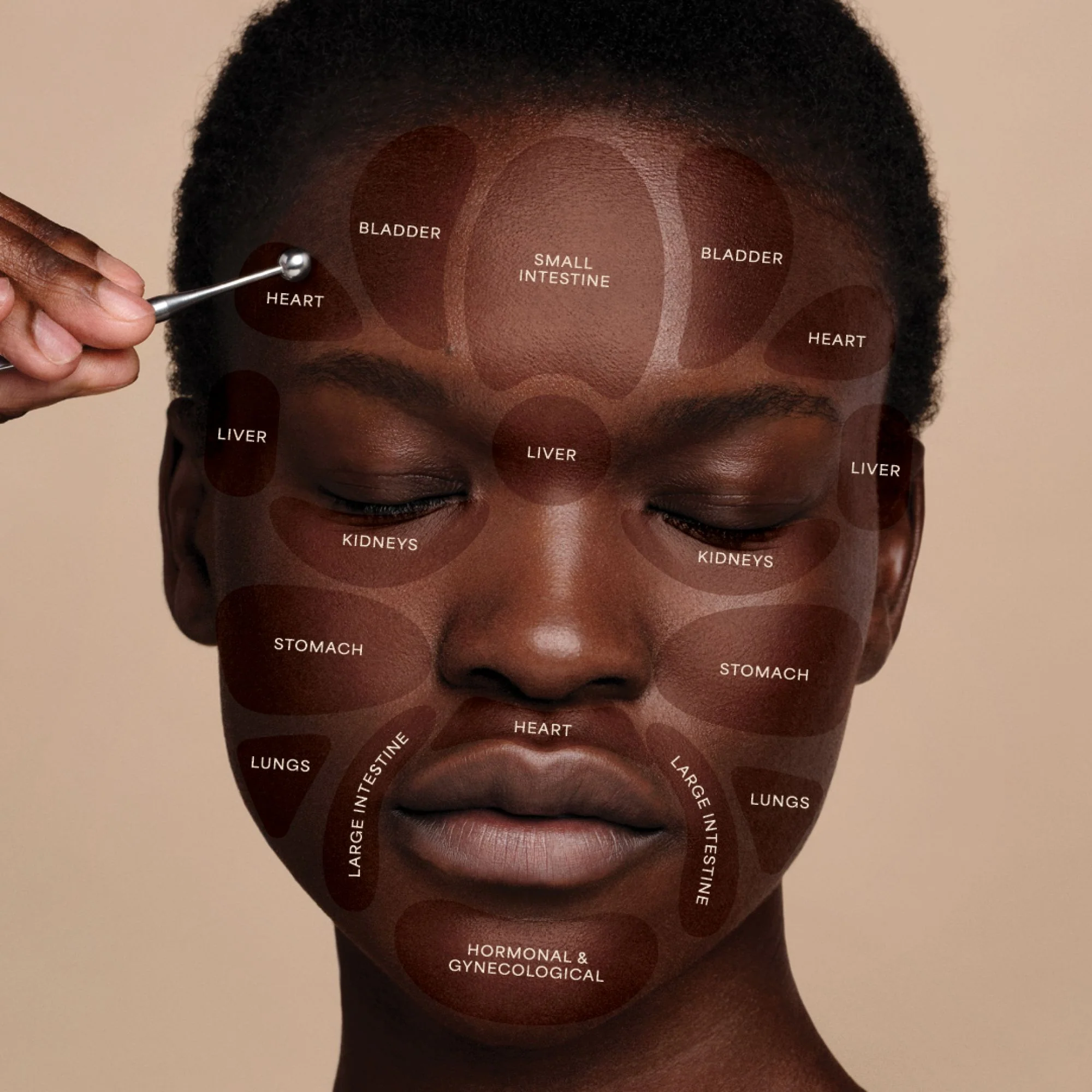 Skin Wellness Ritual - Image 8